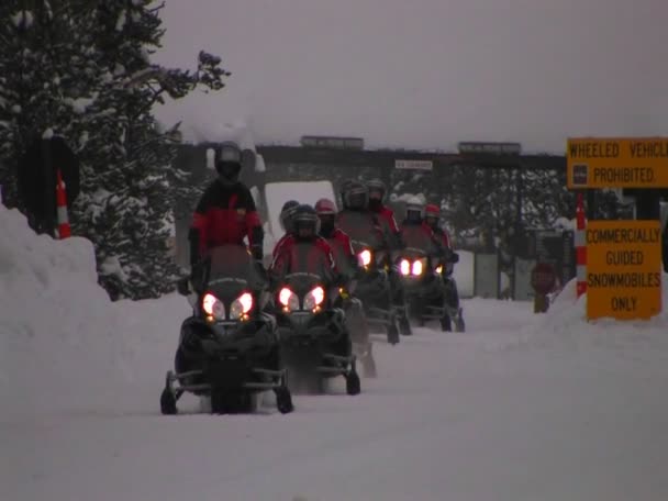 Muchas motos de nieve están alineadas — Vídeos de Stock