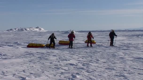 En arktisk expedition rör sig över tundran — Stockvideo