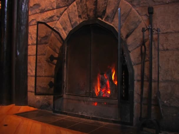 木头在壁炉中燃烧. — 图库视频影像