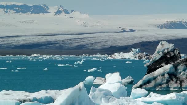 Gli iceberg galleggiano in una laguna ghiacciata — Video Stock