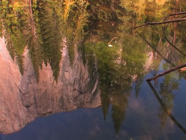 Los árboles se reflejan en un lago de montaña — Vídeos de Stock