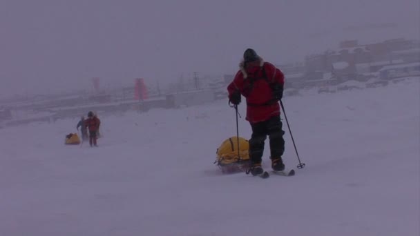 Uma expedição ártica atravessa a tundra — Vídeo de Stock