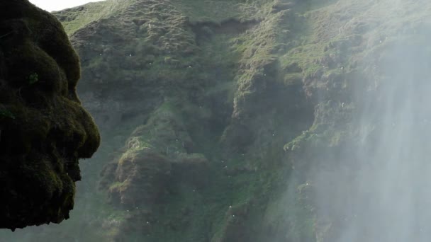 一个美丽的瀑布，在冰岛 — 图库视频影像