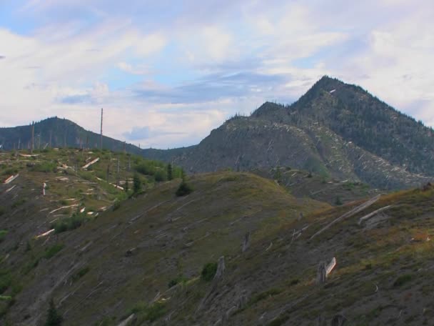 Склоны горы Святой Елены — стоковое видео
