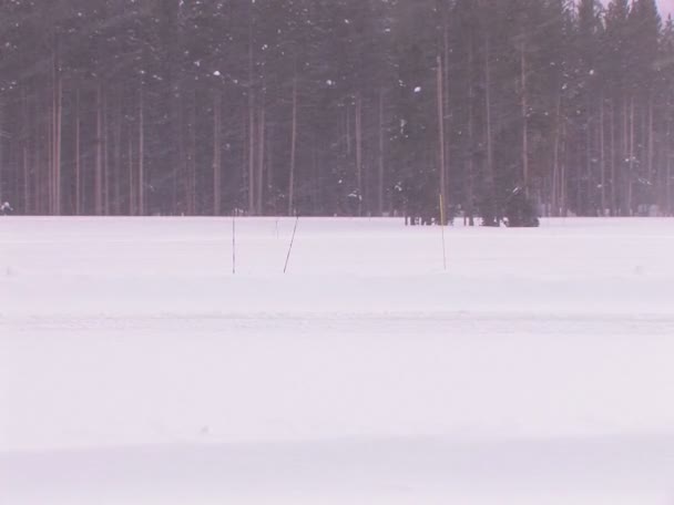 Běžecké lyžař pohybuje — Stock video