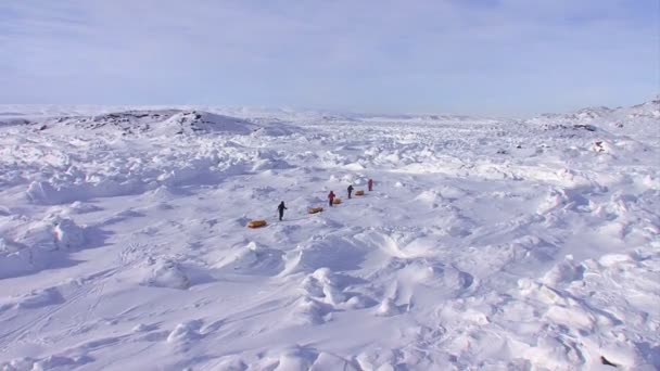 툰드라에 걸쳐 이동 하는 북극 탐험 — 비디오