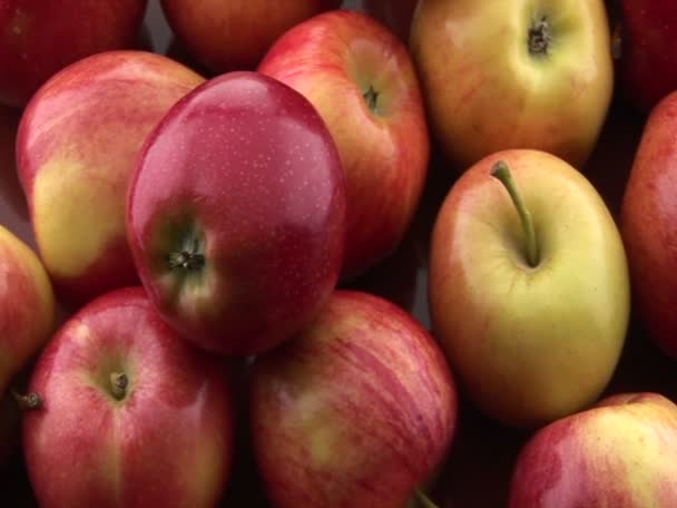 Appels zitten op een tafel — Stockvideo