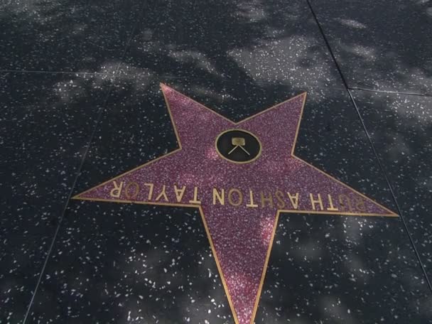 Gwiazdy Hollywood Walk of Fame linii — Wideo stockowe