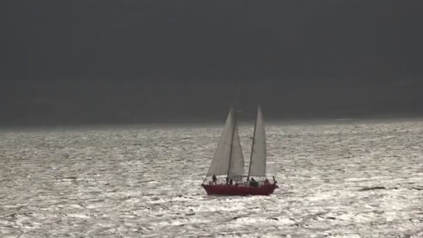Um veleiro viaja na água — Vídeo de Stock