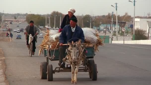 Carro de burro viaja por una carretera transitada — Vídeos de Stock