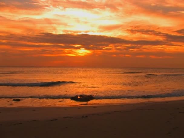 Una mujer corre en la playa — Vídeos de Stock