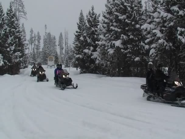Парк снегоходов вдоль дороги — стоковое видео