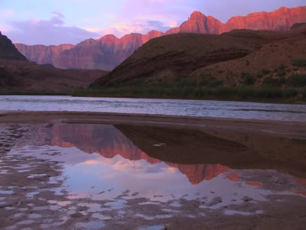 Der Fluss colorado fließt — Stockvideo