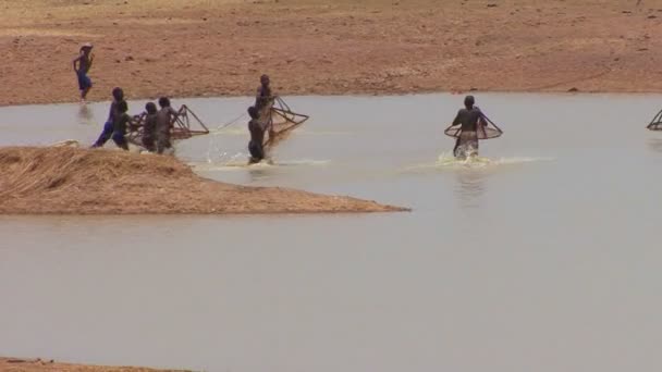 Les enfants utilisent des filets coniques pour attraper le poisson — Video