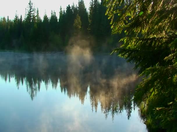 Ånga stiger från Trillium Lake — Stockvideo