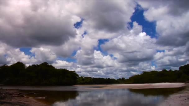 Amazonasbecken in Brasilien — Stockvideo