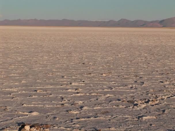 Salt Flat in Alto Plano Argentina — Stock Video