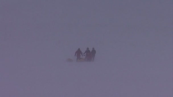 Een noordpoolreis in een sneeuwstorm — Stockvideo