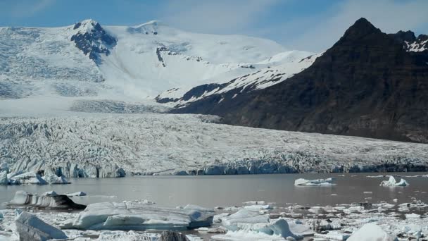 Gli iceberg galleggiano in una laguna ghiacciata — Video Stock