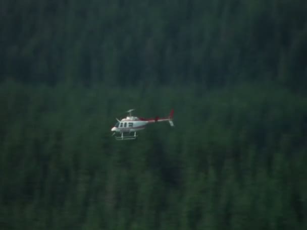 Helikopter flyger över skogsklädda kullar — Stockvideo