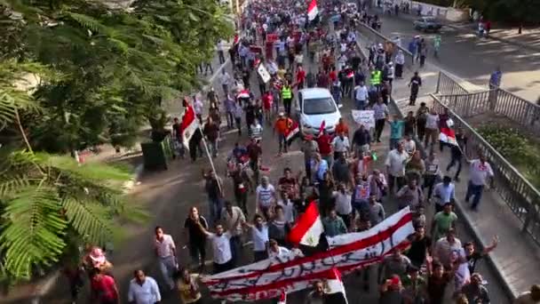 Protesters chant and wave flags — Stock Video