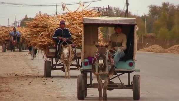 Veículos primitivos viajam em uma estrada — Vídeo de Stock