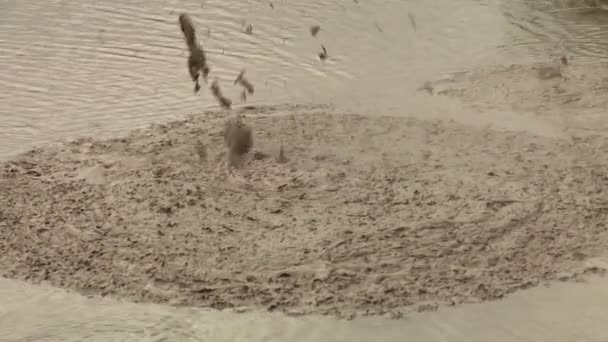 Hot pools of bubbling mud — Stock Video