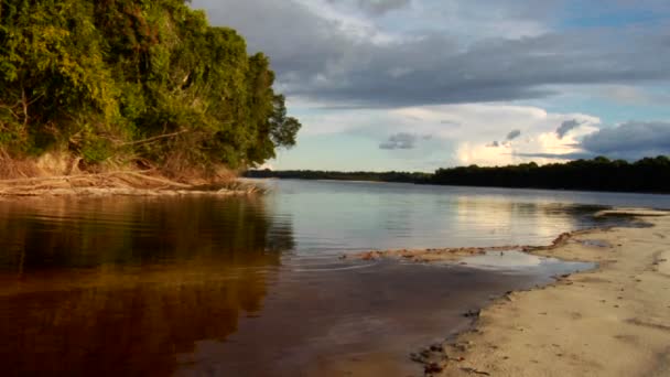 Povodí řeky Amazonky, Brazílie — Stock video