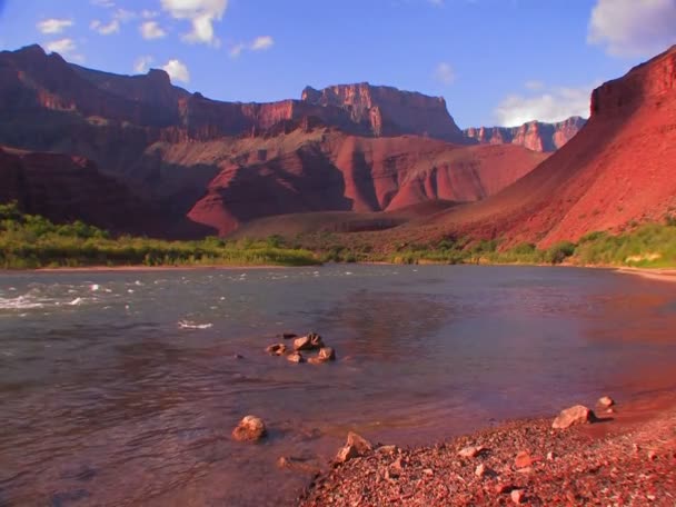 The Colorado River flows — Stock Video