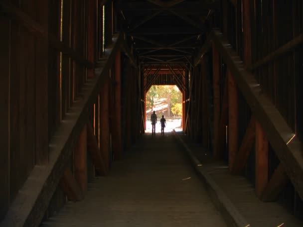 Silhouettes tunnel people — Stock Video