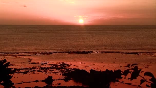 Una hermosa puesta de sol detrás del océano — Vídeo de stock