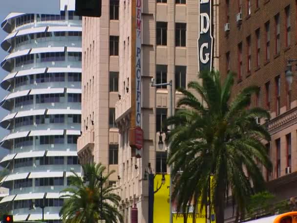 Wind blaast palmbomen in Hollywood. — Stockvideo