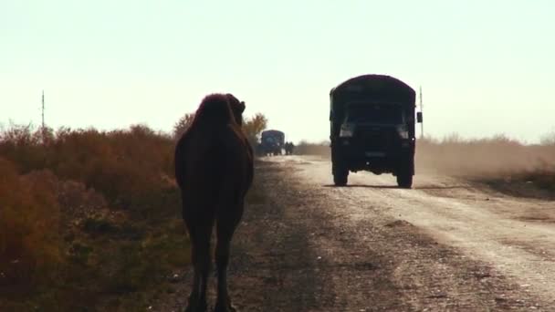 Грузовик проходит по дороге в Муйнак — стоковое видео