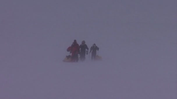 Egy északi-sarki expedíció egy hóvihar — Stock videók