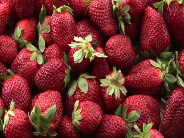 Fraises assis dans un tas — Video