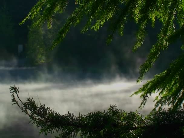 蒸汽从延龄草湖升起 — 图库视频影像