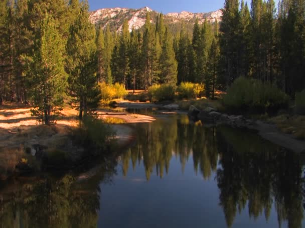 Mountain lake reflects the surrounding trees — Stock Video