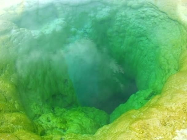 绿色吸烟池 — 图库视频影像