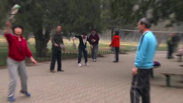Чоловік грає з ракетки і м'ячі — стокове відео