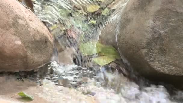 Waterval in Wheeler Springs — Stockvideo