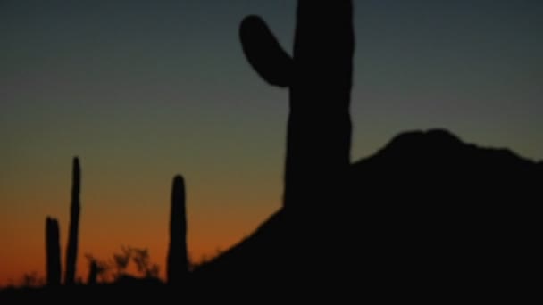 A desert scene on dusk — Stock Video