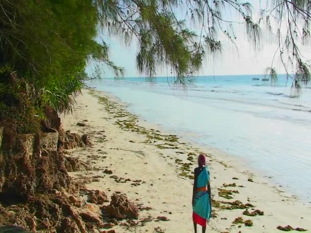 해변을 따라 걷는 여자 — 비디오