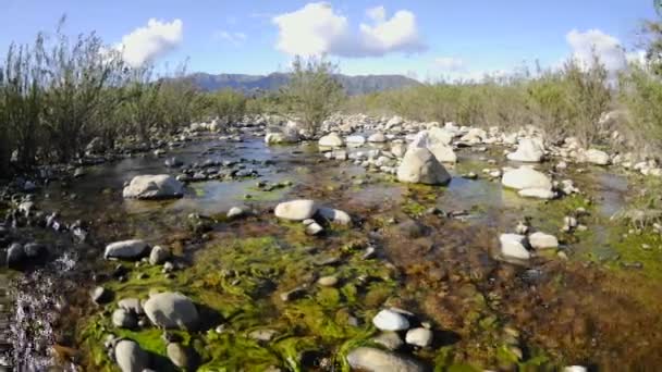 Moln som passerar över Los Padres National Forest — Stockvideo