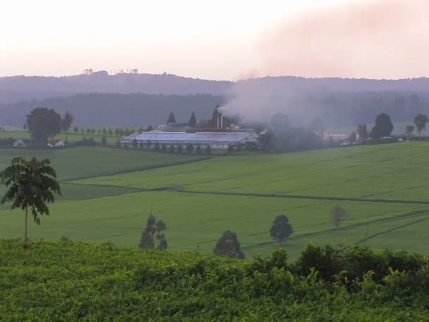 Smoke billows from a building — Stock Video