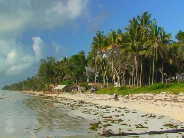 Menschen sitzen, gehen am Strand spazieren — Stockvideo