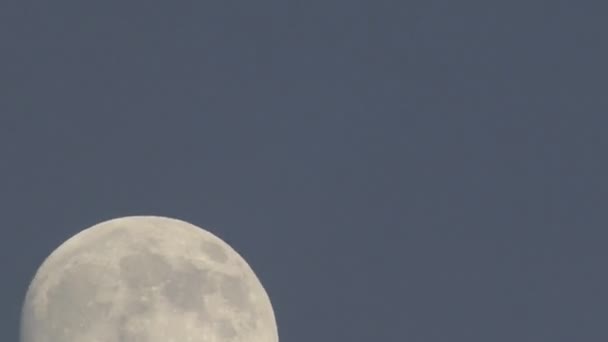 Stijgende volle maan boven Oak weergave — Stockvideo