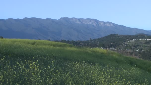 Prado e a montanha Topa Topa — Vídeo de Stock