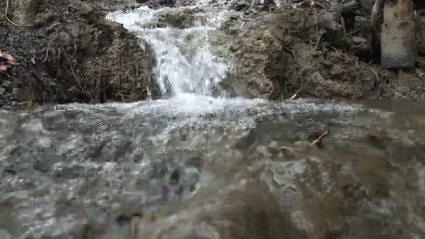 Närbild på ett litet vattenfall i Los Padres National Forest ovan Ojai, Kalifornien. — Stockvideo