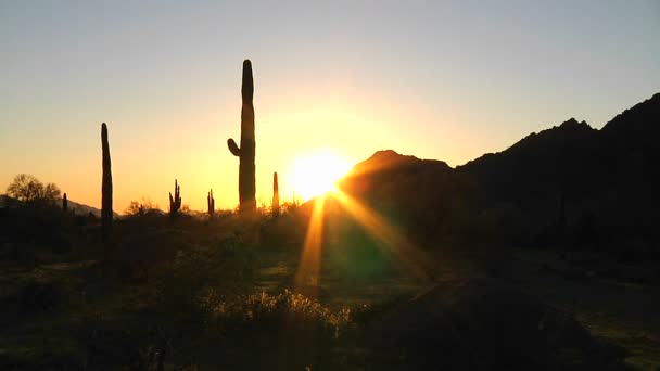 Puesta de sol en un desierto — Vídeo de stock