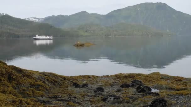 Binnenkomende tij, kayakers en schepen — Stockvideo